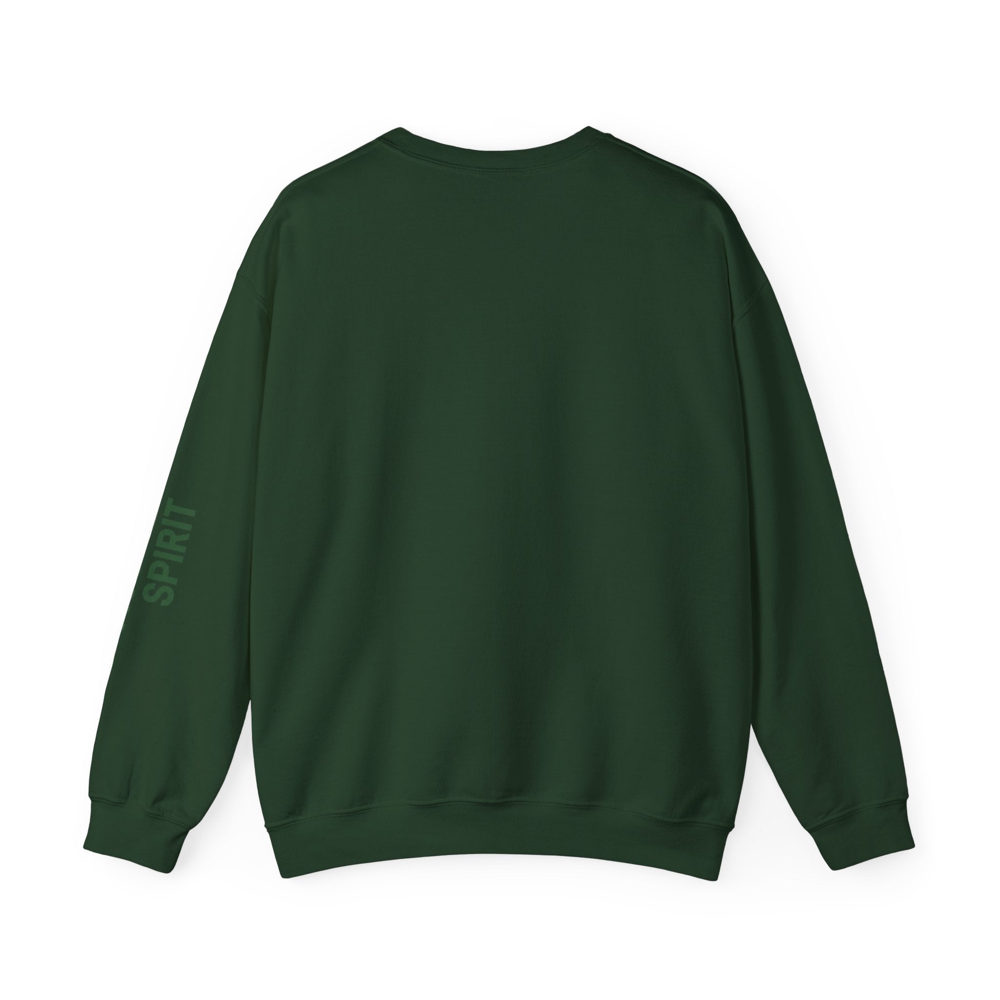 sweatshirt crewneck brodé Alpine wonderlust
