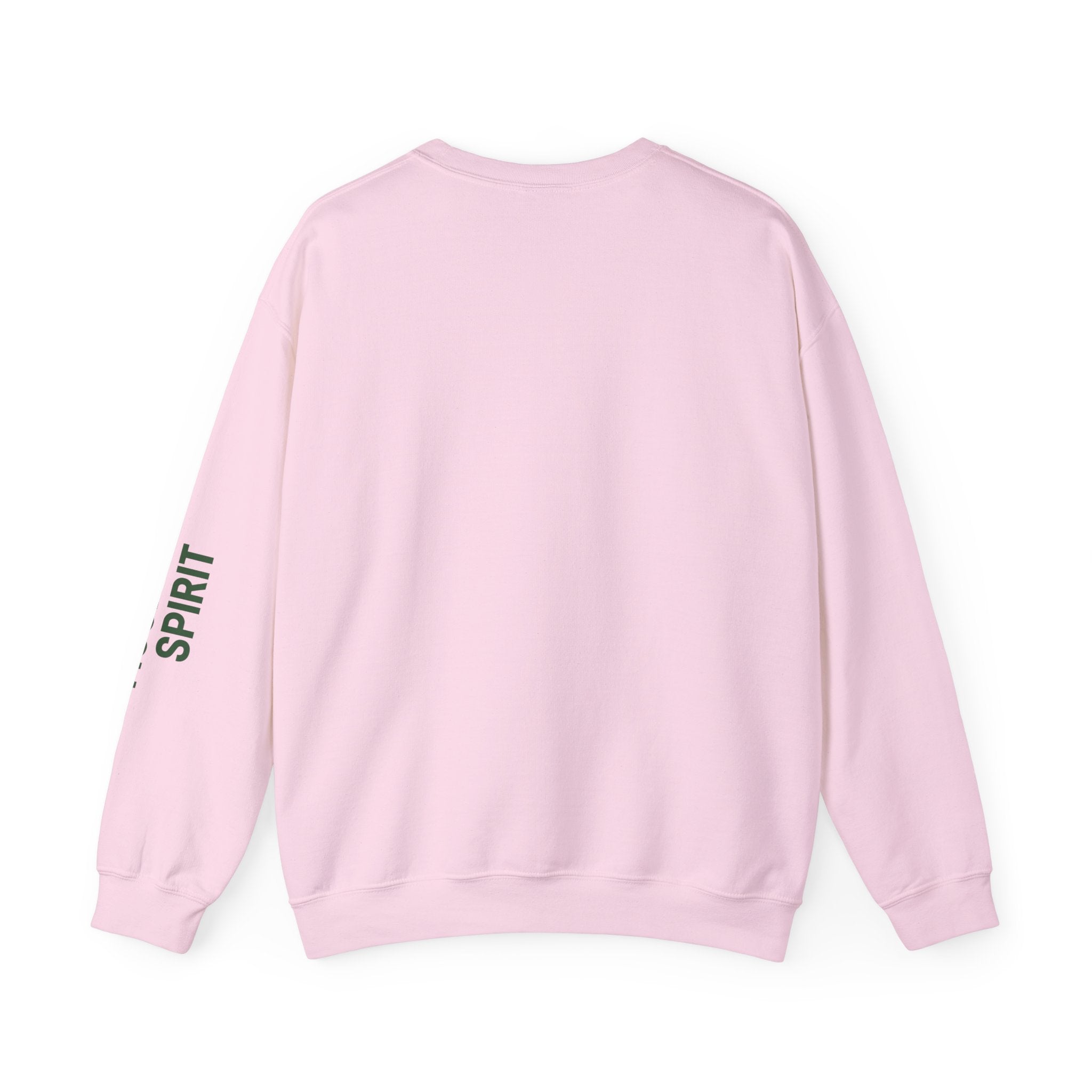sweatshirt crewneck brodé Alpine wonderlust